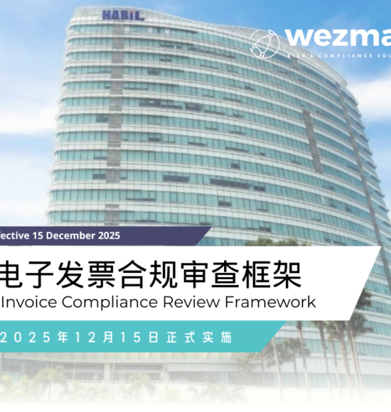 LHDN e-Invoice Compliance Review Framework (2025) – What Malaysian Businesses Must Know
